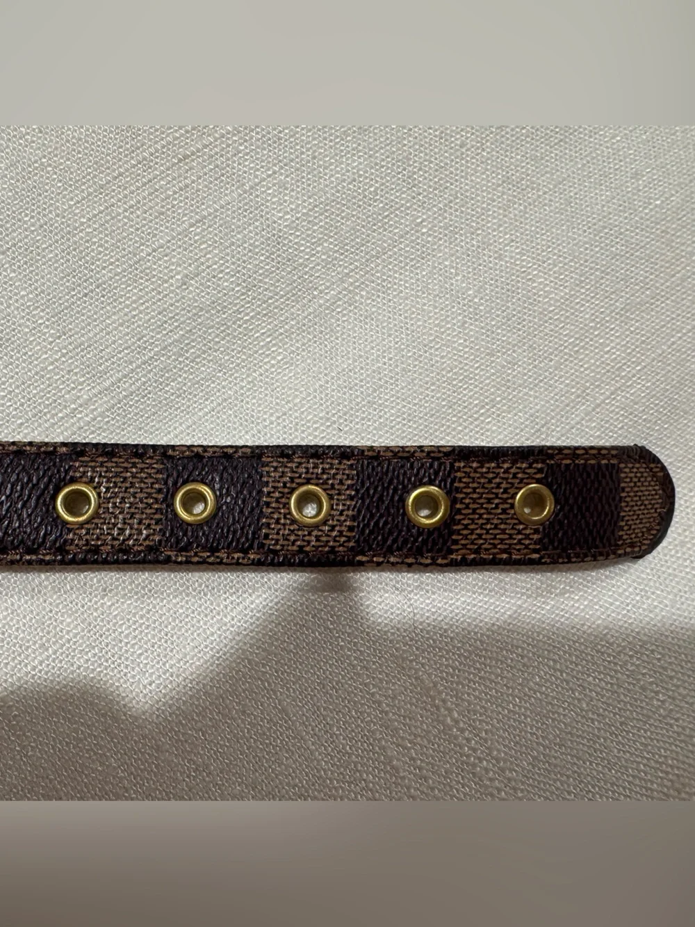 LV Dog Collar